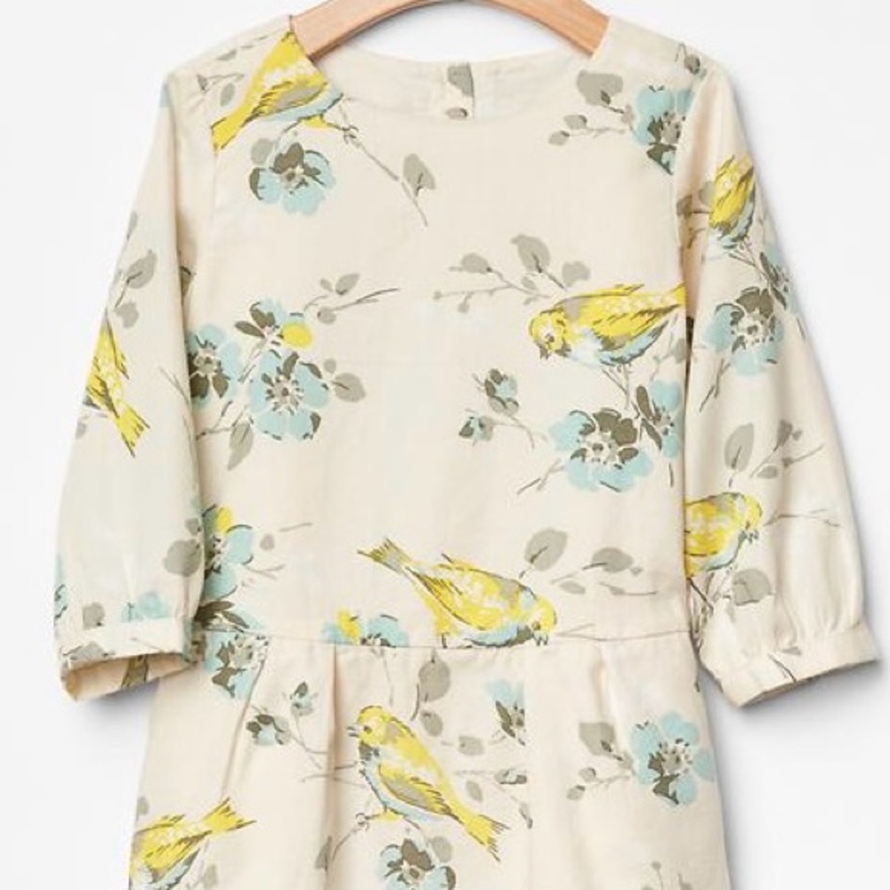 BabyGap Toddler 3 Years Floral Bird Drop Waist Long Sleeve Dress